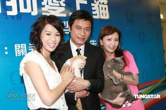 胡杏儿、罗嘉良、曾华倩